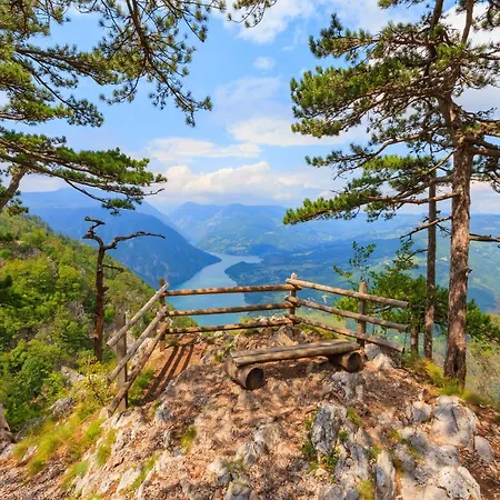 Konaciste Kovacevic Apartman *